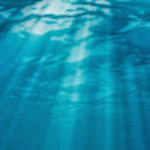 Meet your Posher, Billy